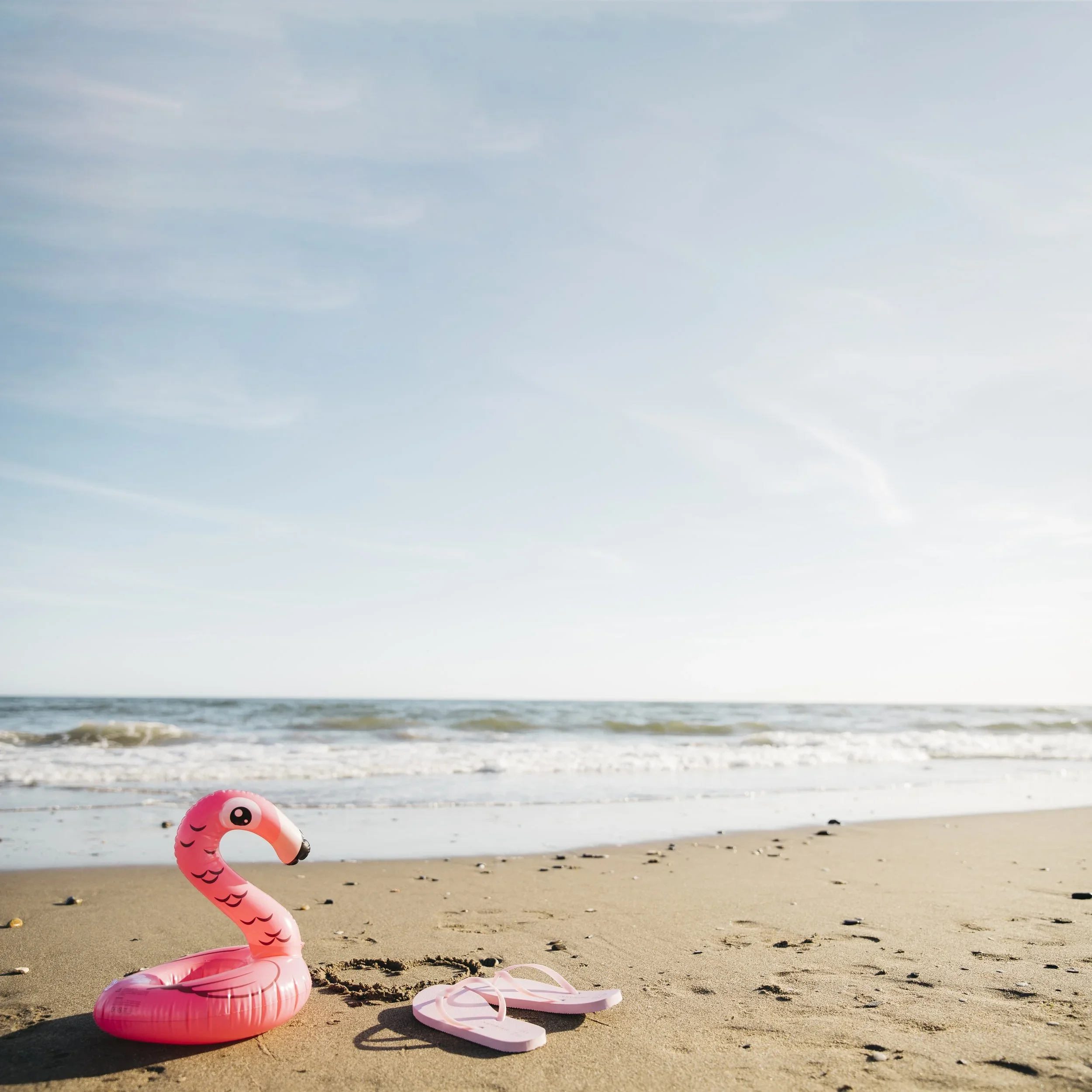 Summer’s Coming!! TDR Class and Clinic Holiday Dates