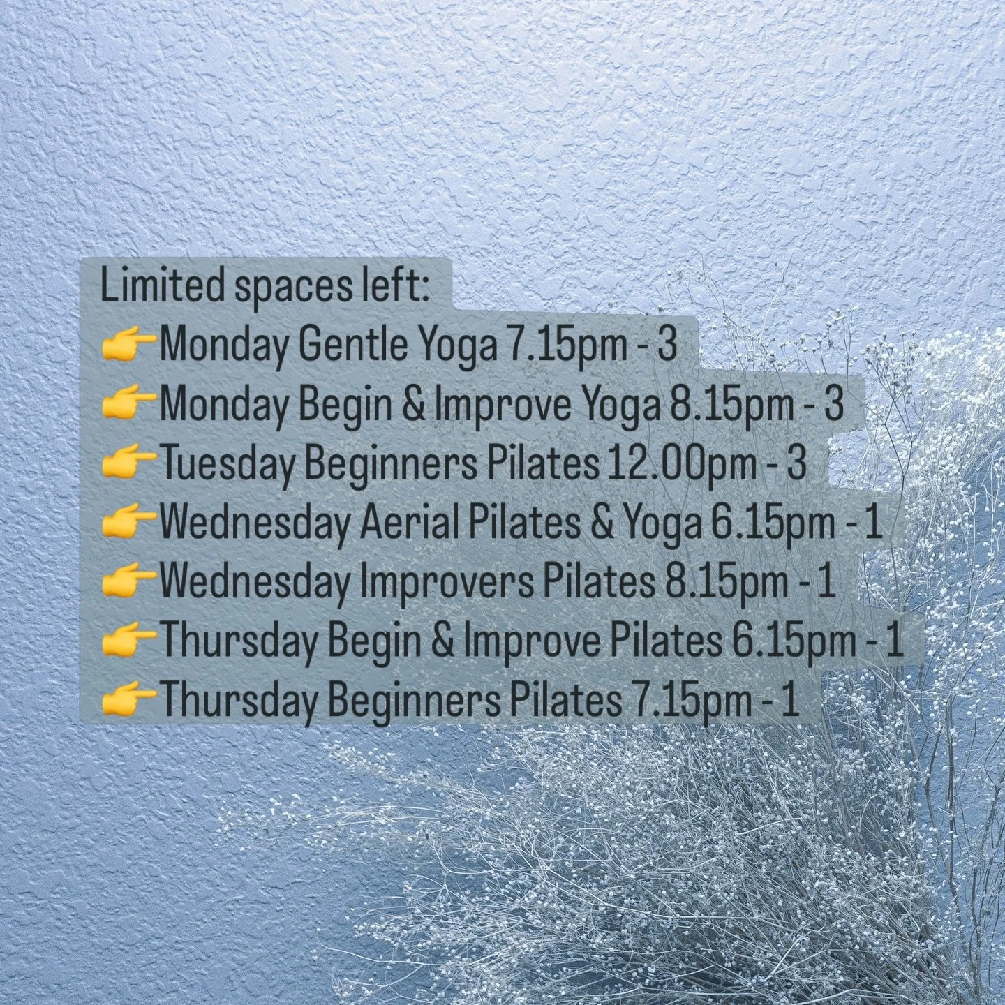 🩵 We do more than any #Pilates mat class around - Pilates and equipment work and beyond into functional living.
🩷 Our #Yoga classes are a wonderful blend of various types of Yoga to work on the body, breath and relaxation.

Limited spaces left:
👉M