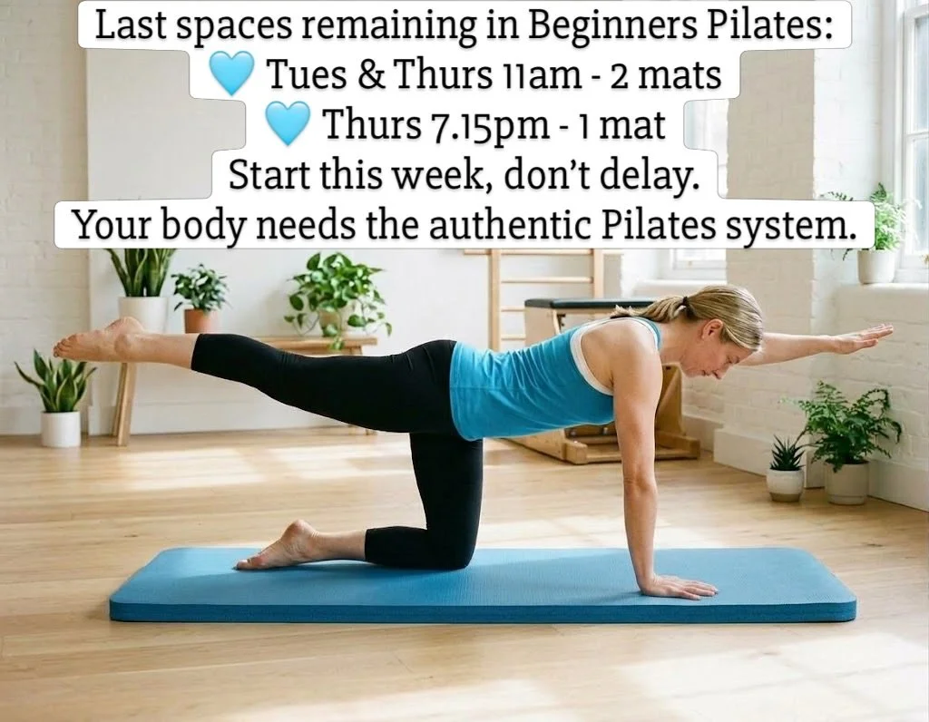 Book in via the website or DM, last remaining spaces. A system of Pilates that is built around you and your body, not fancy fitness trends. Let&rsquo;s build you up to live your best life 🩵