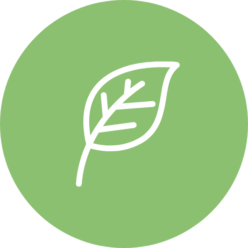 White line drawing of a leaf inside a green circular background.