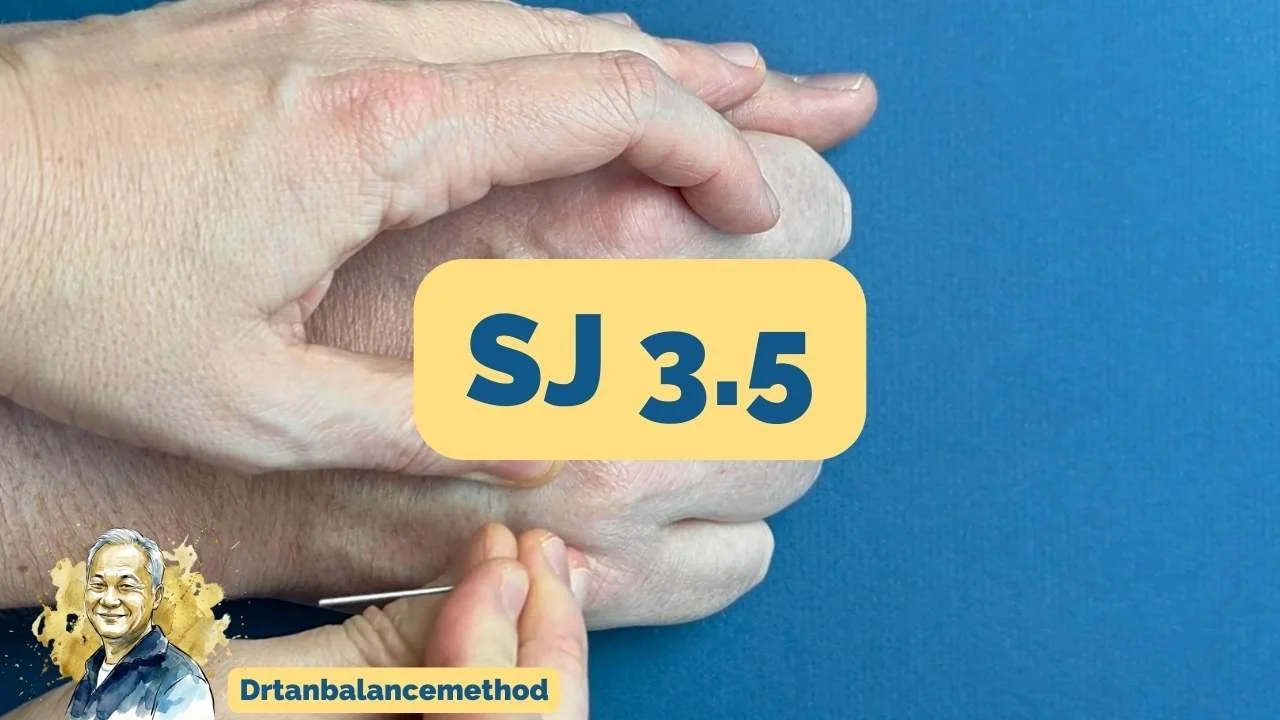 San Jiao 3.5 (SJ-3.5) | Balance Method Needling Demo