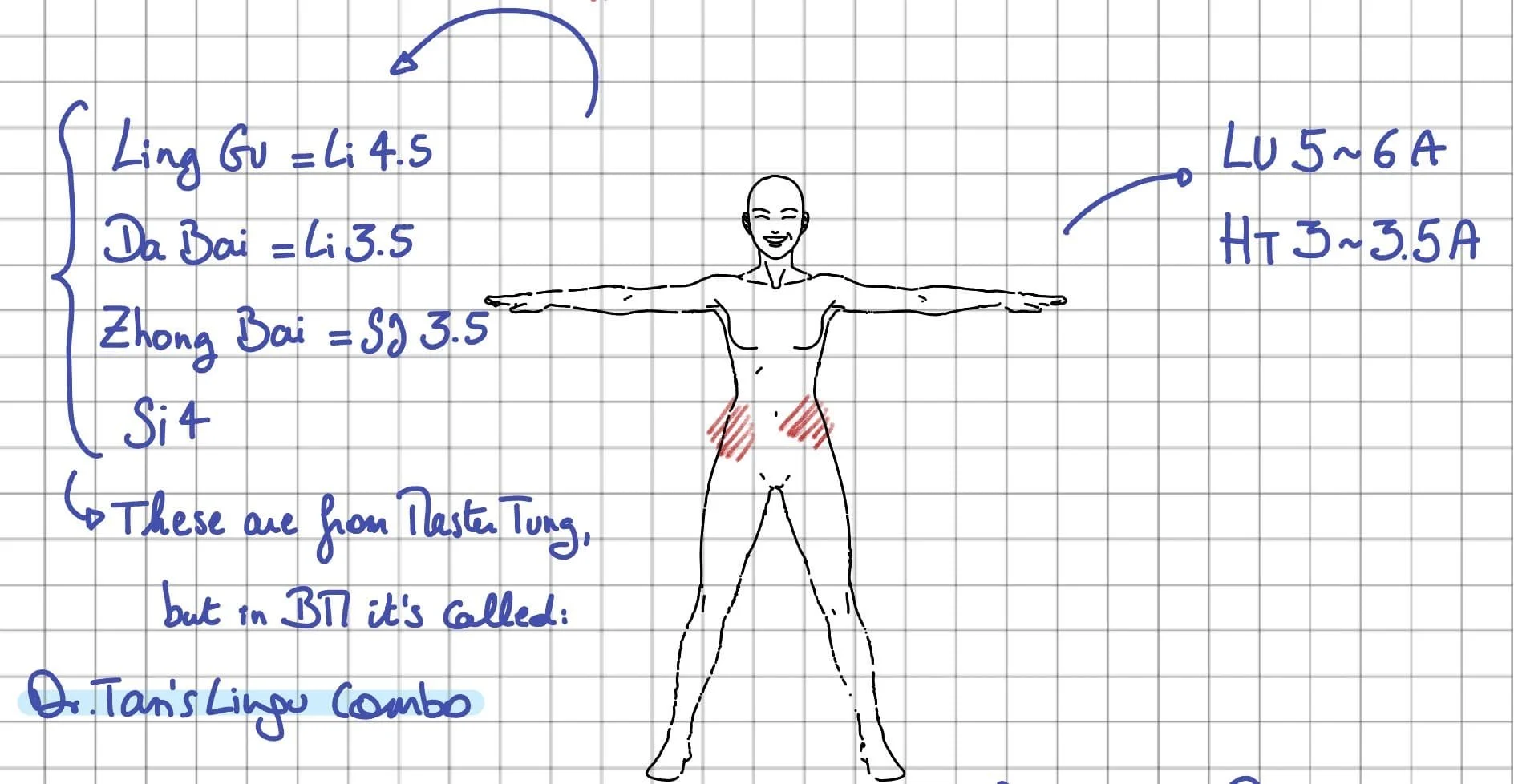 How to Treat Back Pain and Sciatica with Dr. Tan's Balance Method: The Million Dollar Combo, Projections &amp; Global Balance