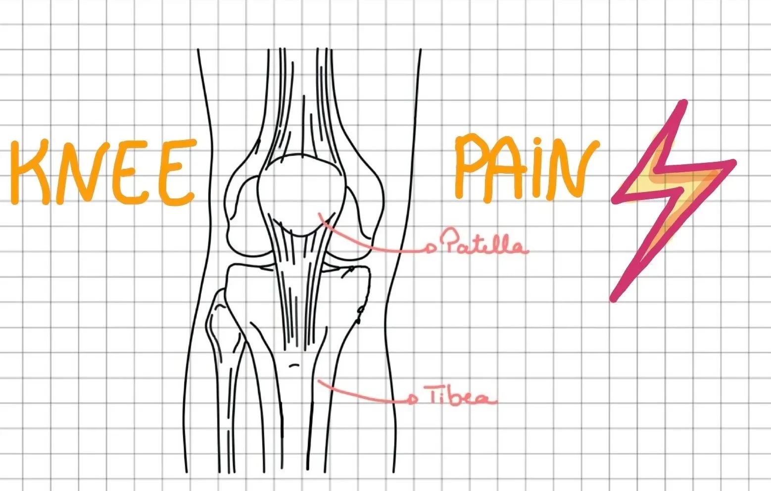 How to Treat Knee Pain with Dr. Tan's Balance Method: Six Meridians, Structure Matching, and When to Use the Opposite Knee