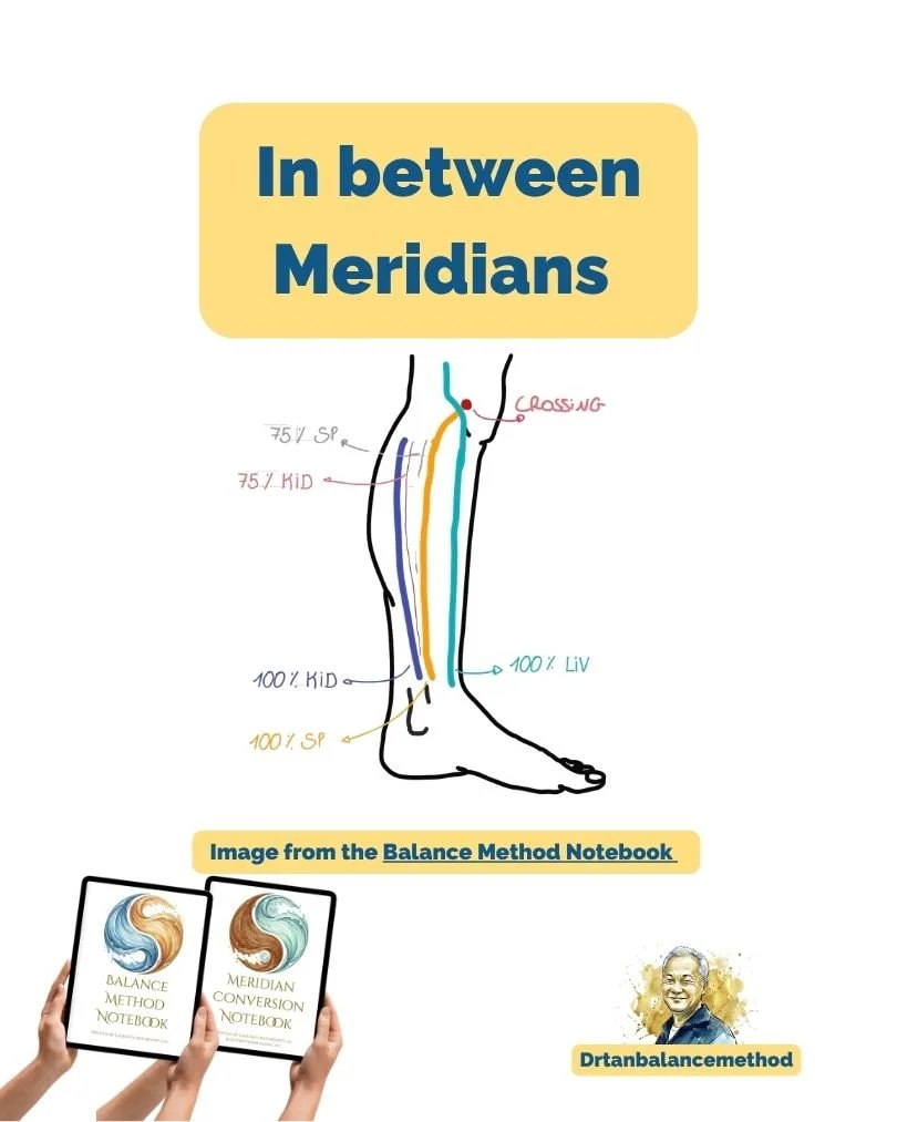 balance method notebook meridians.jpg