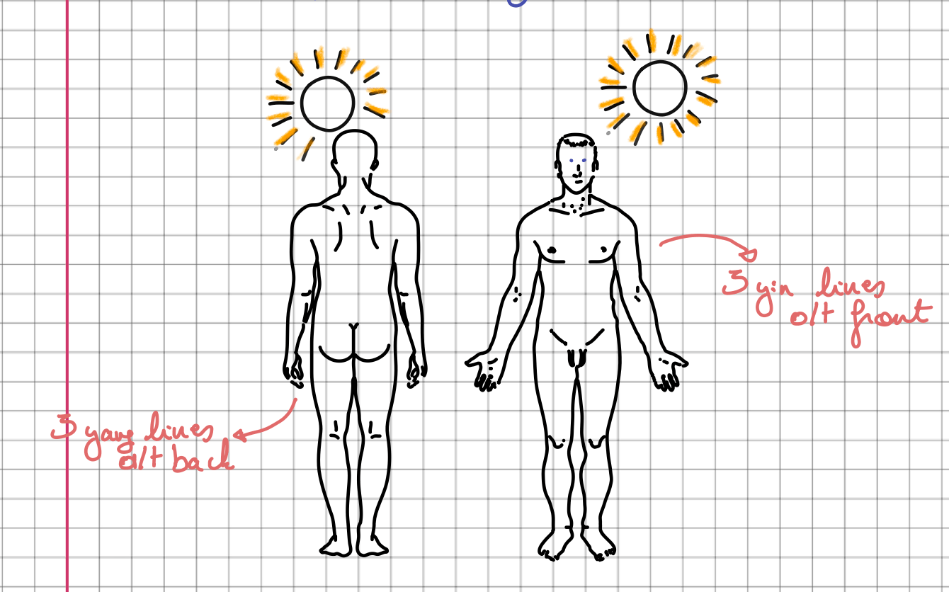 The sun expose logic - showing yin and yang in relation to the sun-  Dr Tan balance Method