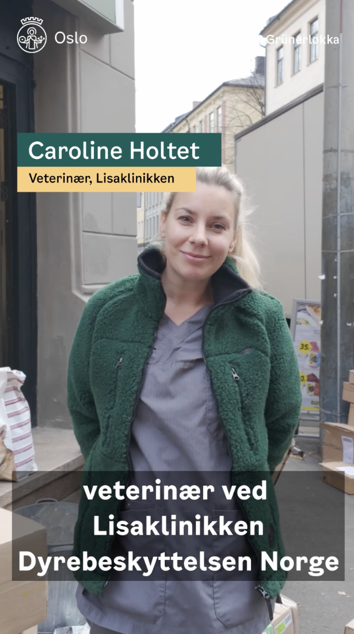 Skjermbilde 2026-08-07 kl. 10.26.58.png