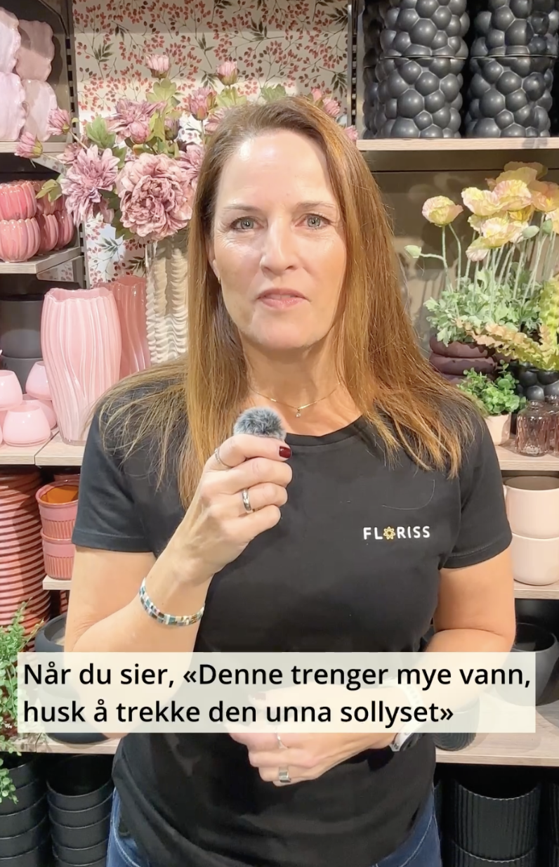 Skjermbilde 2026-08-07 kl. 10.26.31.png