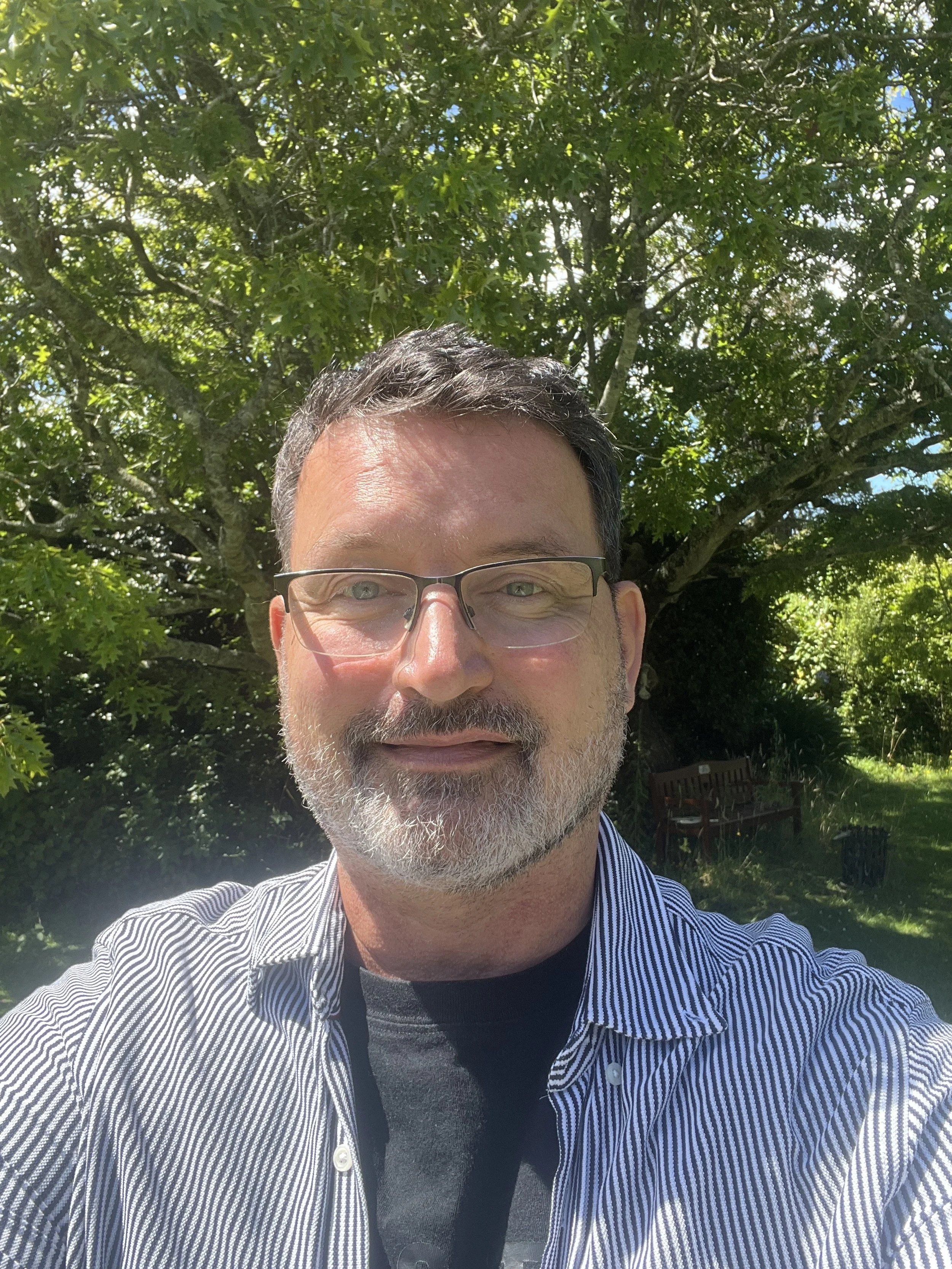 A man with glasses and a beard taking a selfie outdoors in front of a large leafy tree on a sunny day.