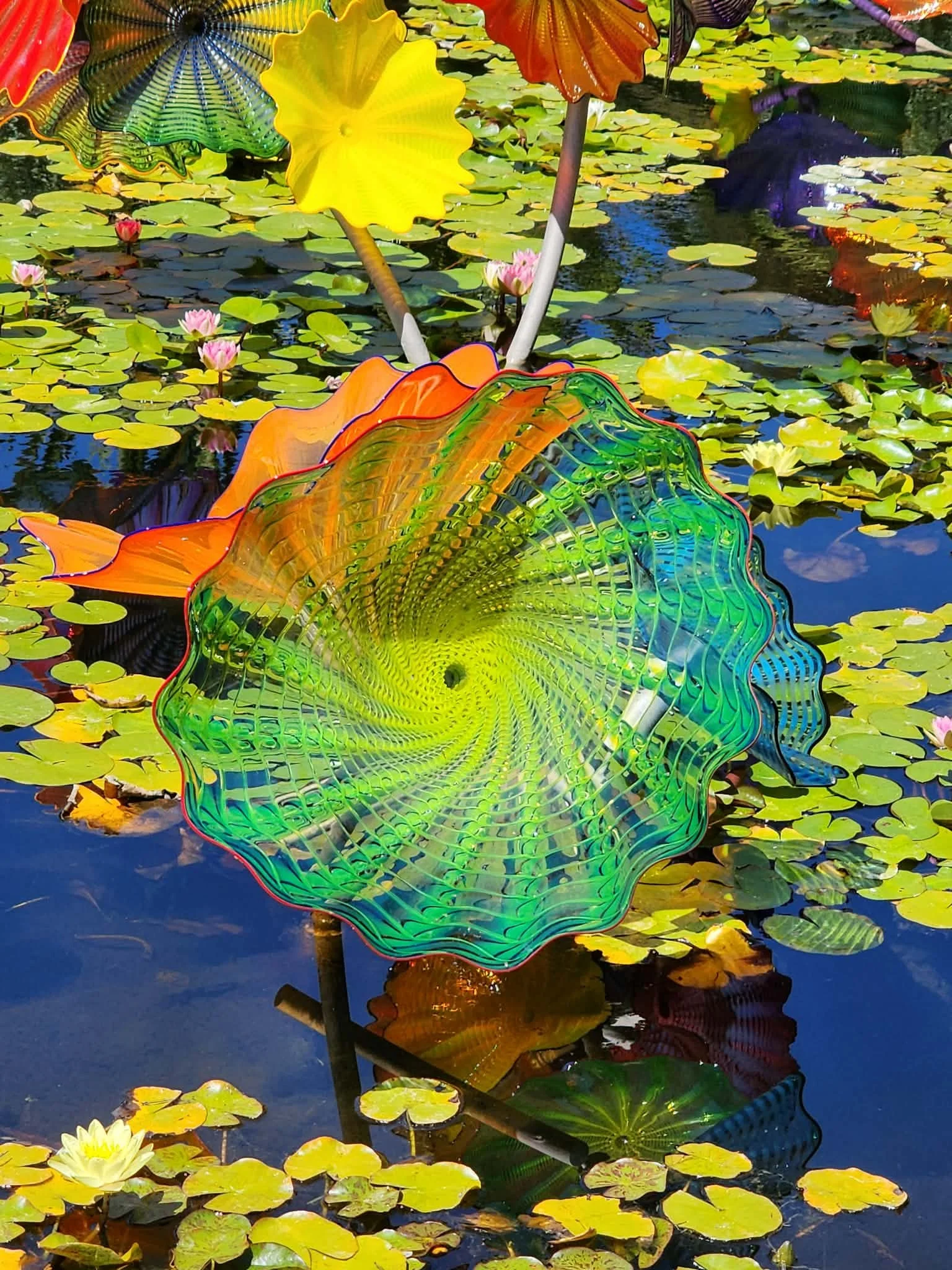 Colorful glass sculptures resembling flowers and leaves floating on a pond with lily pads and pink water lilies.