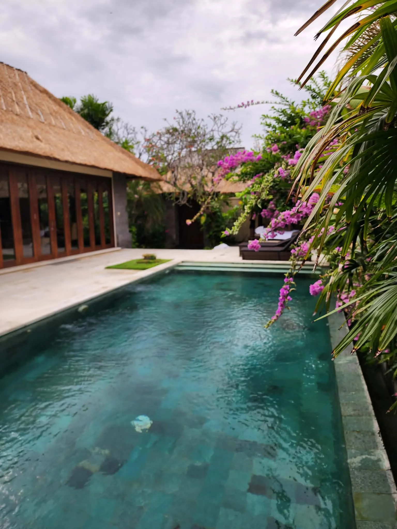 A backyard with a swimming pool, pink flowering bushes, lounge chairs, and a thatched-roof structure on a cloudy day.