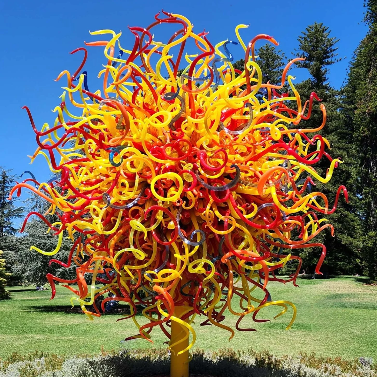 Colorful glass sculpture resembling a potted plant with twisting and curling branches in yellow, red, orange, and black, set outdoors in a park under a blue sky with tall green trees.