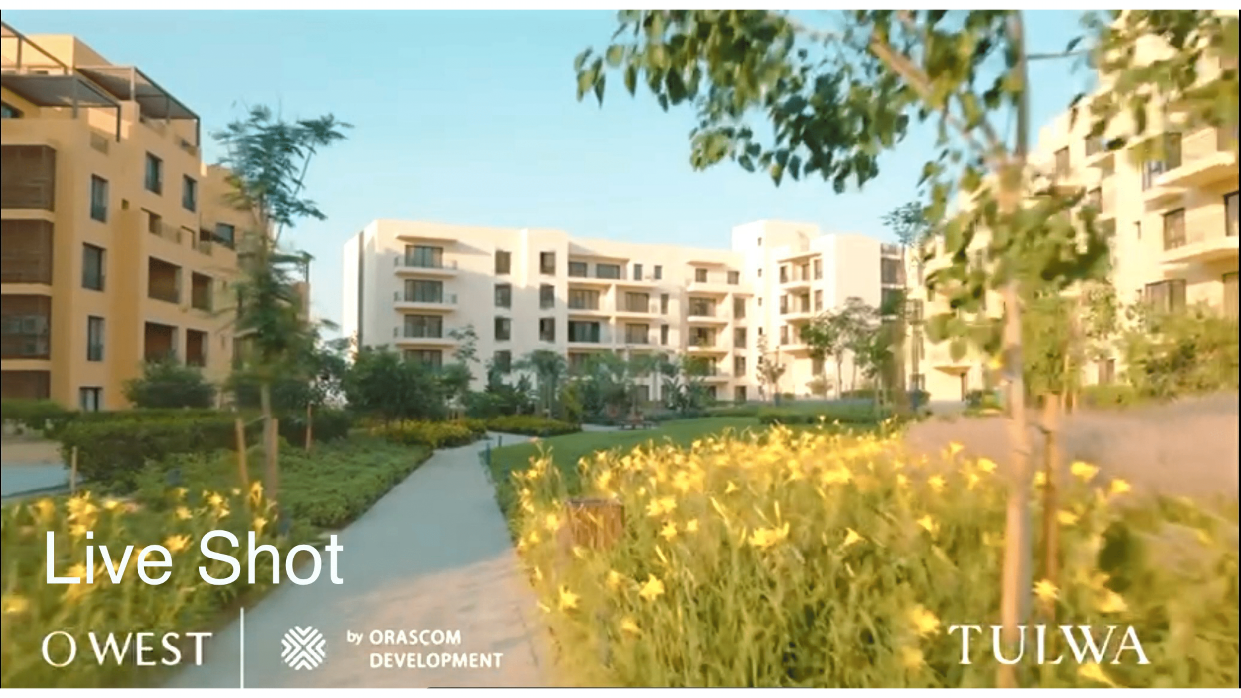 OWest Live Photos Updated-09.png