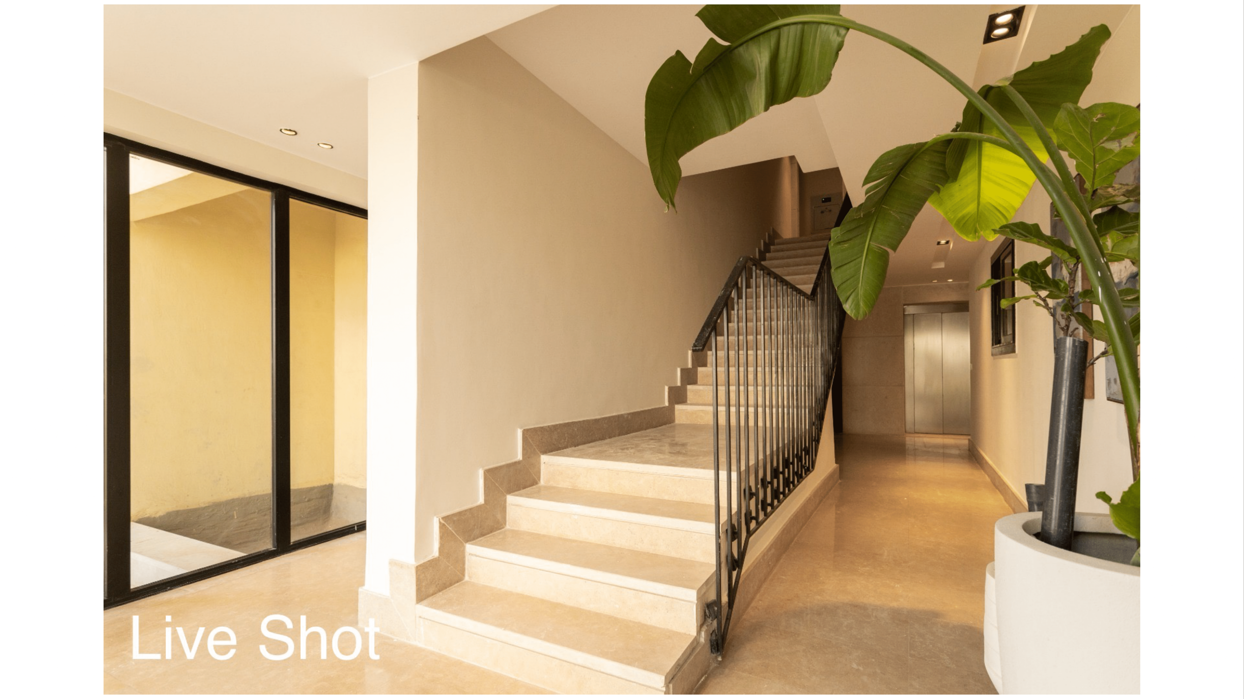 OWest Live Photos Updated-18.png