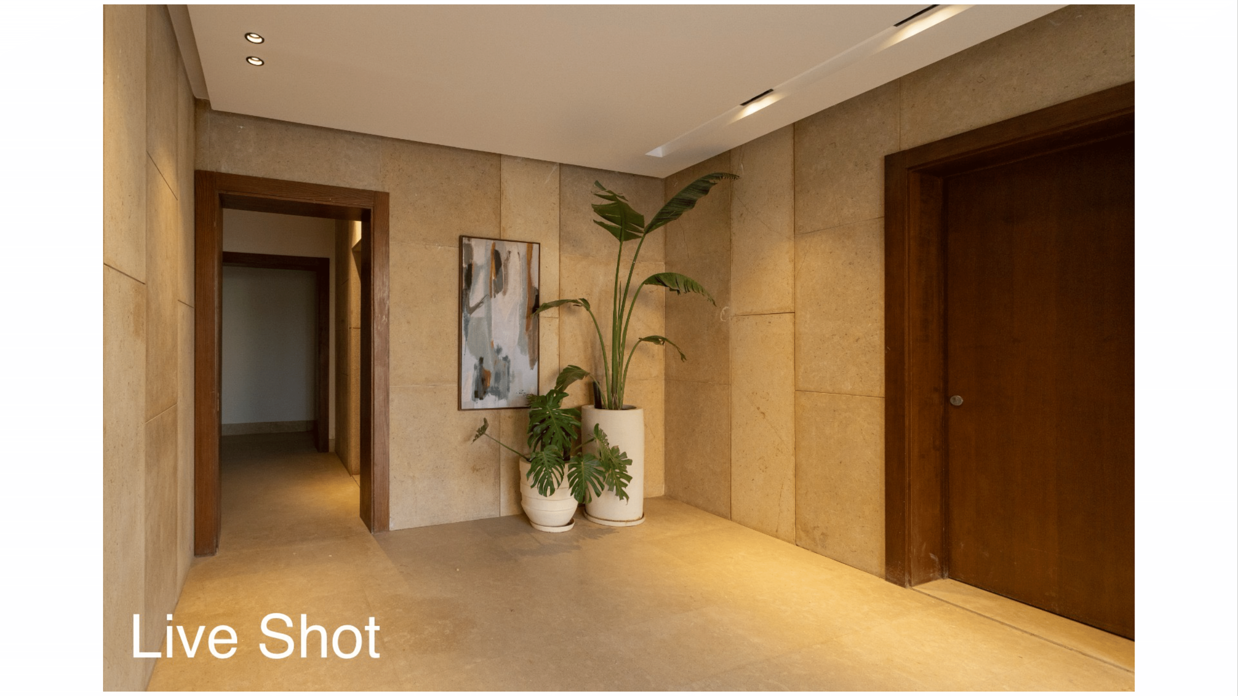 OWest Live Photos Updated-17.png