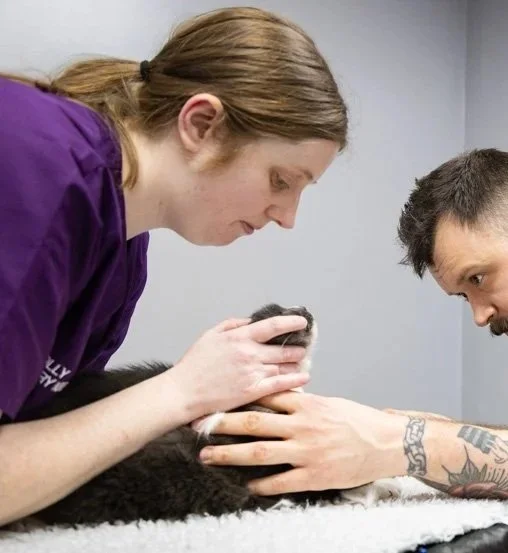 Two veterinarians, one woman and one man with tattoos, examining a black and white puppy on an examination table.