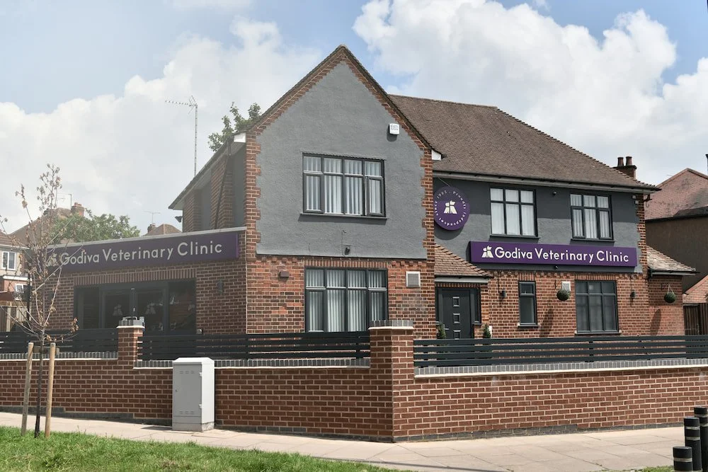 A two-story brick building with gray and red exterior, housing the Godiva Veterinary Clinic. The signs display the clinic's name in white text on a purple background. The building has several windows, a black front door, and is topped with a gabled roof. There's a brick fence surrounding the property, a sidewalk, and a small grassy area with young trees in front. The sky is partly cloudy.