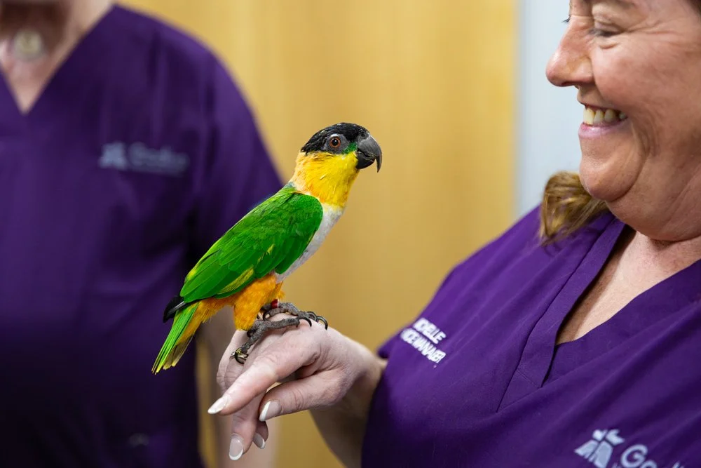 A woman in a purple uniform smiling while holding a colorful parrot on her finger.
