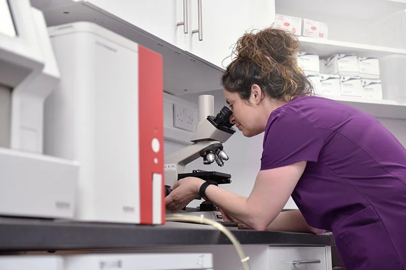 A woman in purple scrubs looking through a microscope in a laboratory.