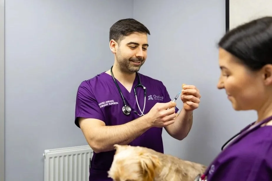 Veterinarian in purple scrubs preparing to give a vaccine to a dog, with another vet nearby in an animal clinic.