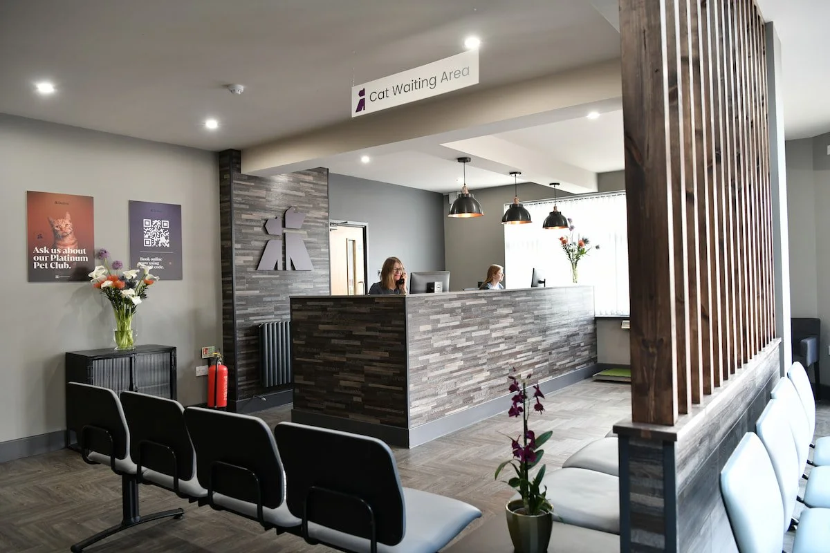 Reception area in Godiva Vet Clinic with a sign that says "Cat Waiting Area". It has a modern decor with comfortable chairs for pet owners.