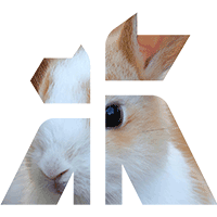 Close-up of a rabbit's face within the Godiva Iconography.