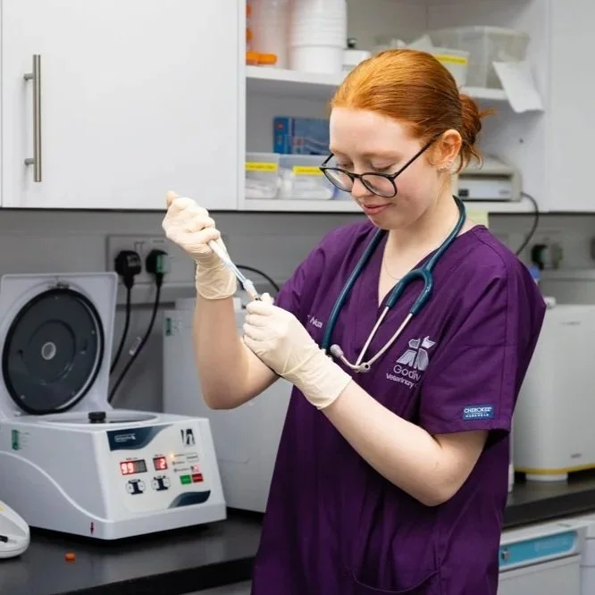 A female healthcare worker in purple scrubs and glasses preparing a syringe in a medical lab.