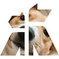 Close-up of a dog's face within the Godiva Iconography.