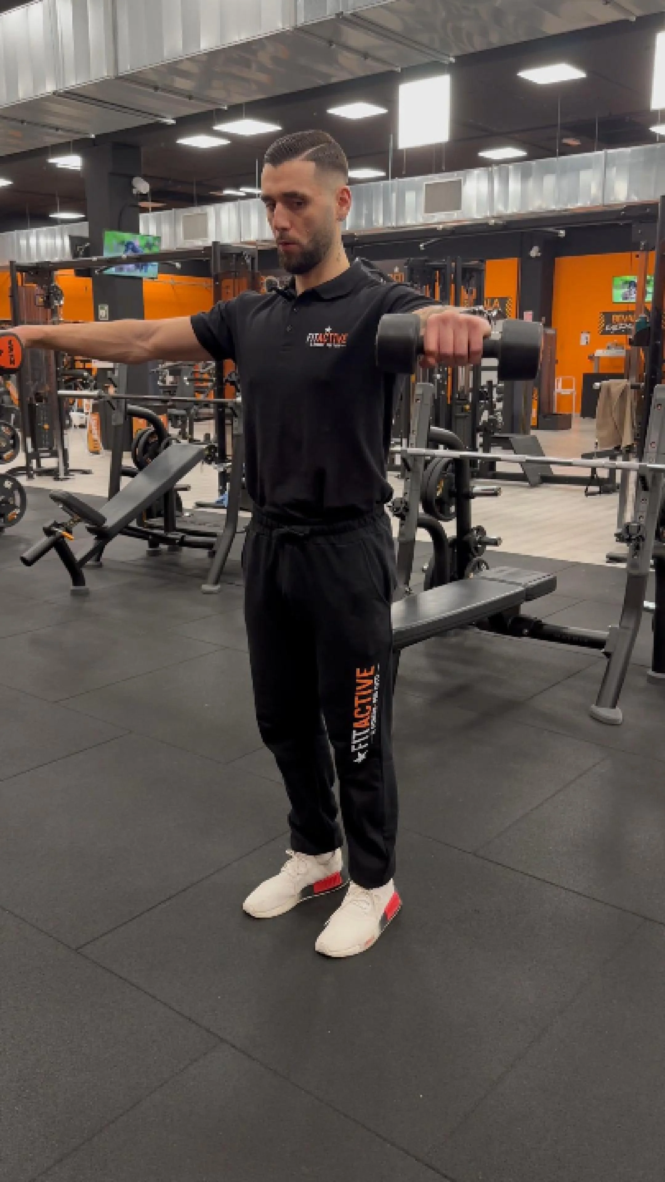 Alzate laterali con manubri-Copertina.jpg