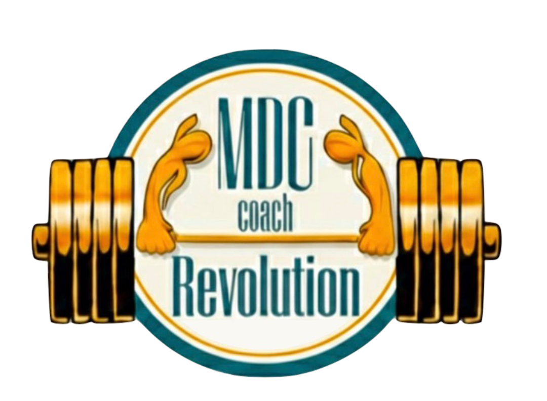 MDC REVOLUTION