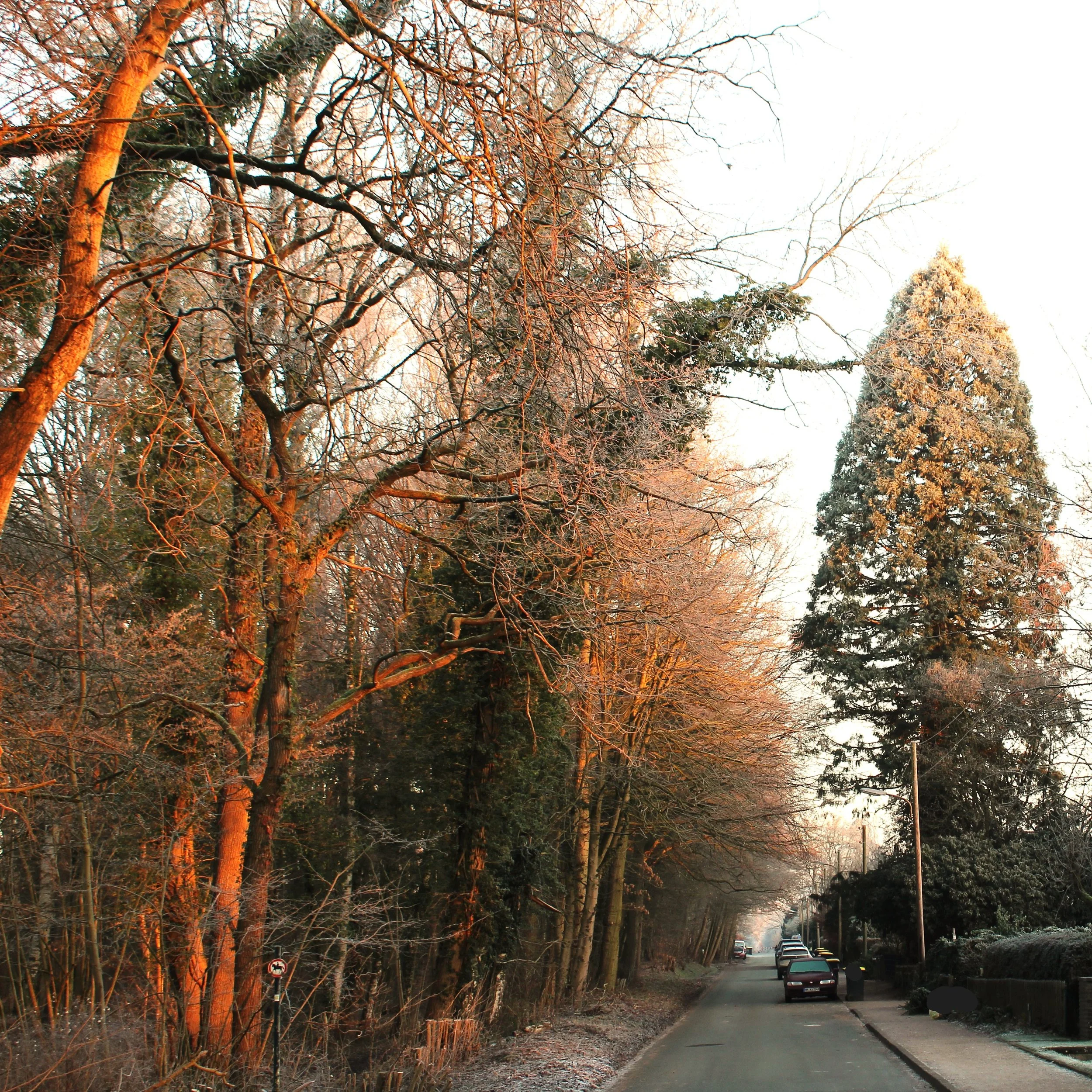 Papas Gartengeschichten