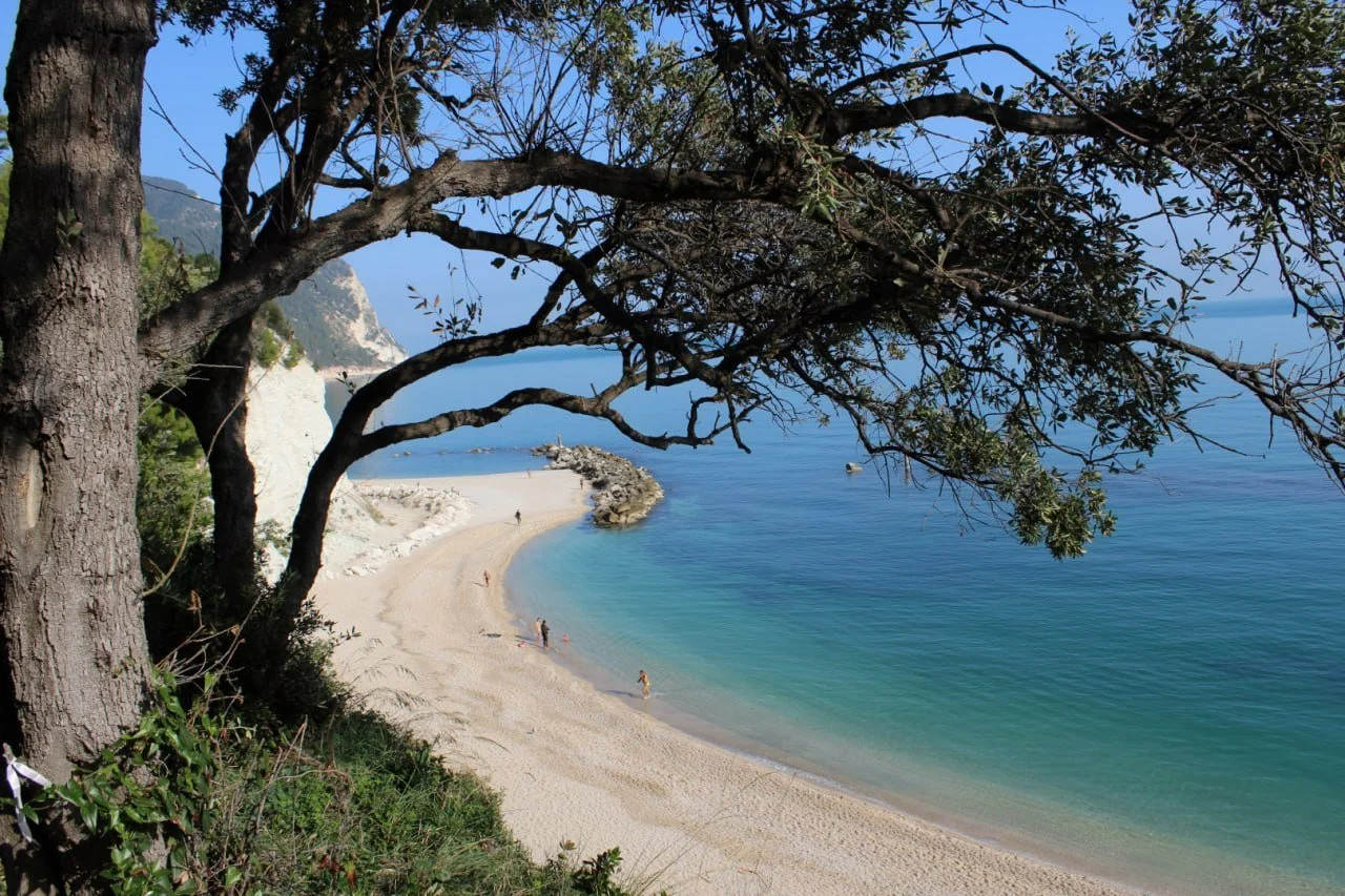 A scenic view of a sandy beach with clear blue water, framed by overhanging tree branches and mountains in the background.