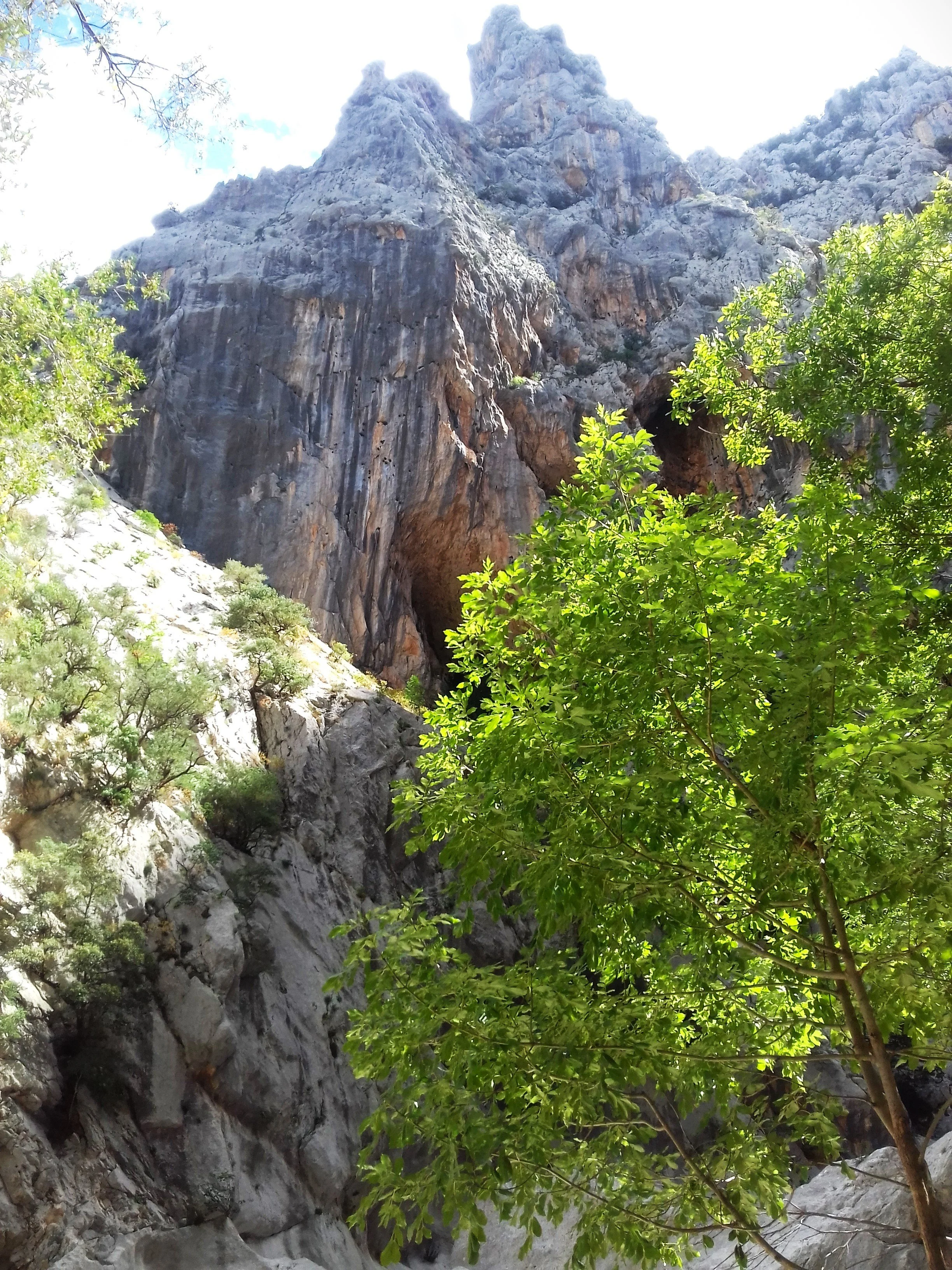Tall mountain with rugged cliffs and greenery, including a leafy tree in the foreground.