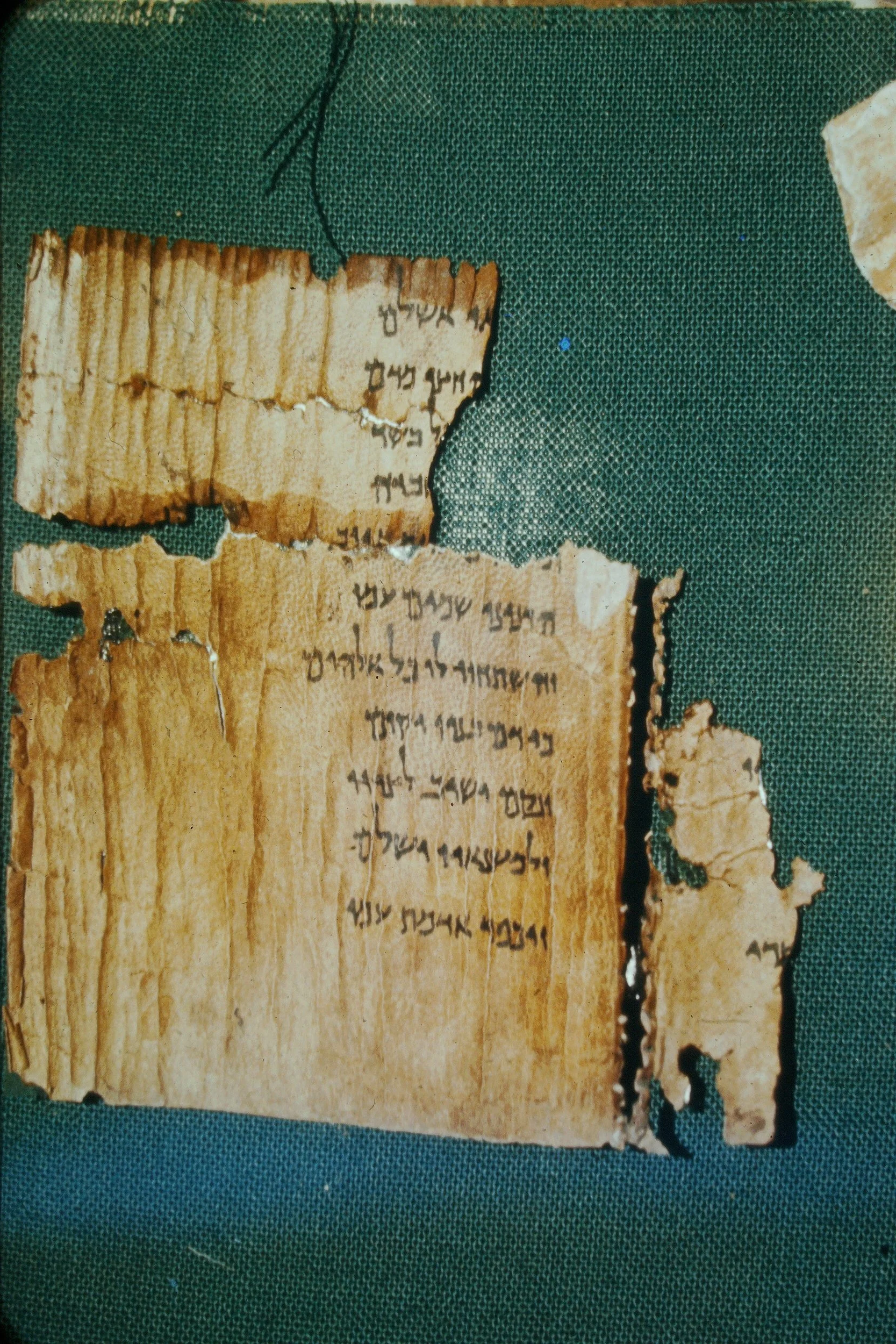 Exodus (Palestine Archaeological Museum)