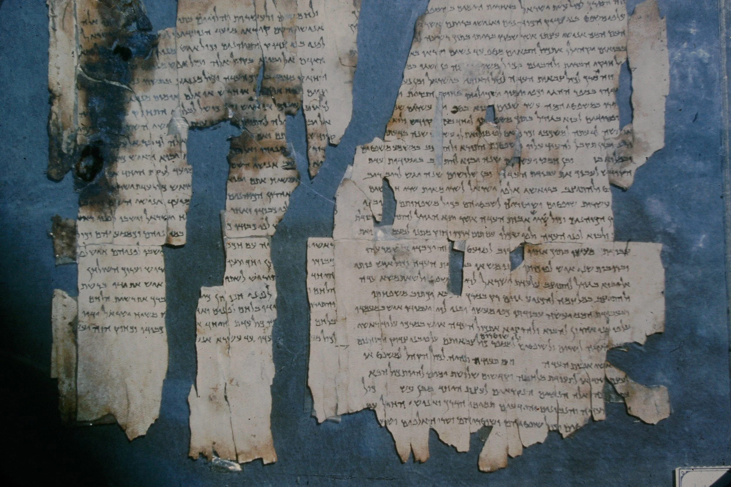 Manual of Discipline (Palestine Archaeological Museum)