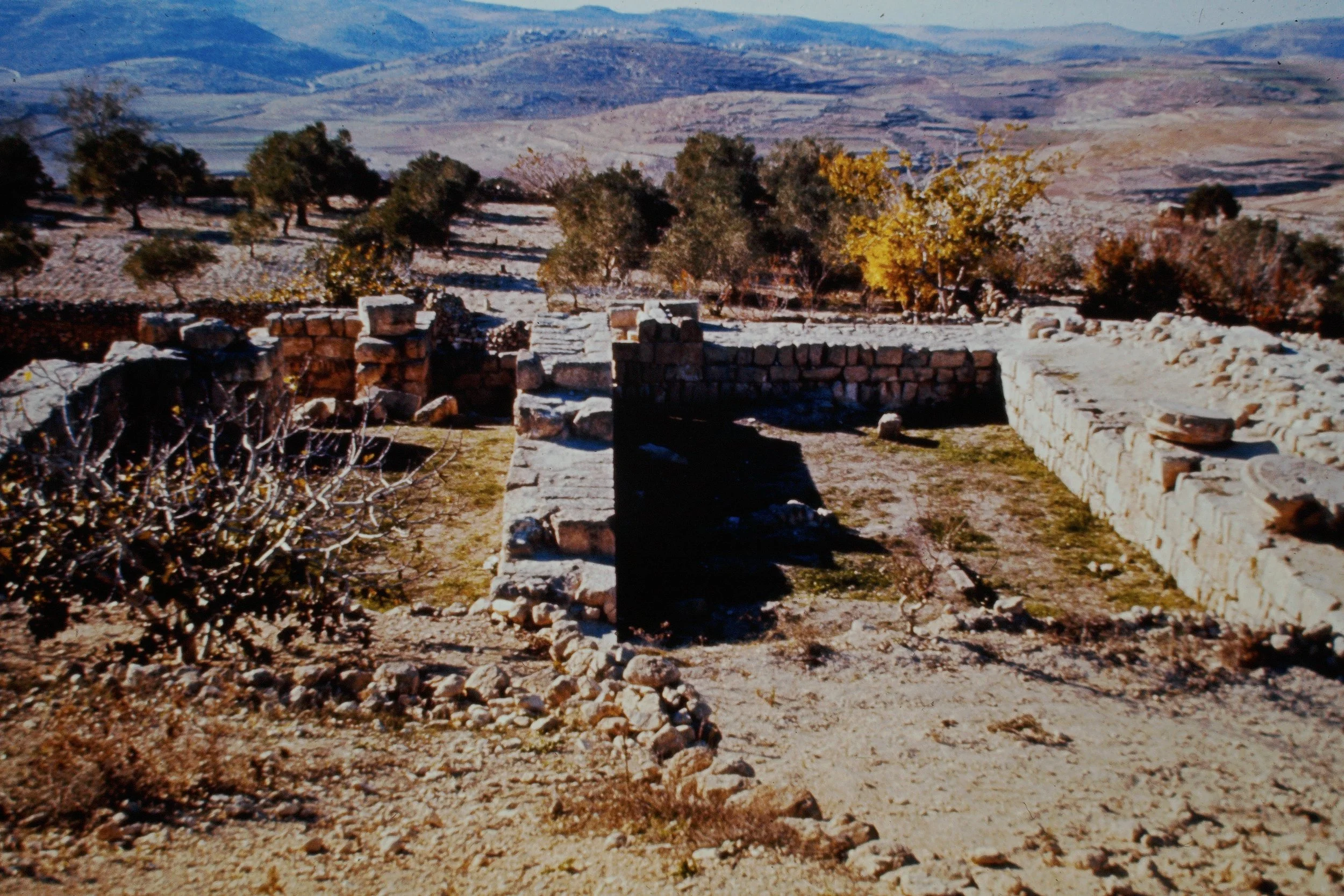 Samaria -- Temple of Augustus, Herodian construction + servant's building