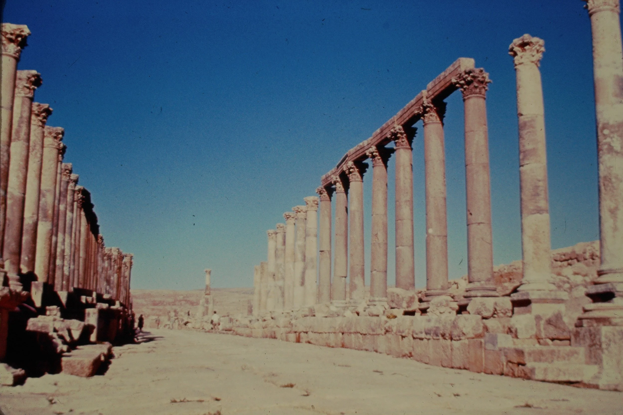 Jarash -- Cardo, looking north