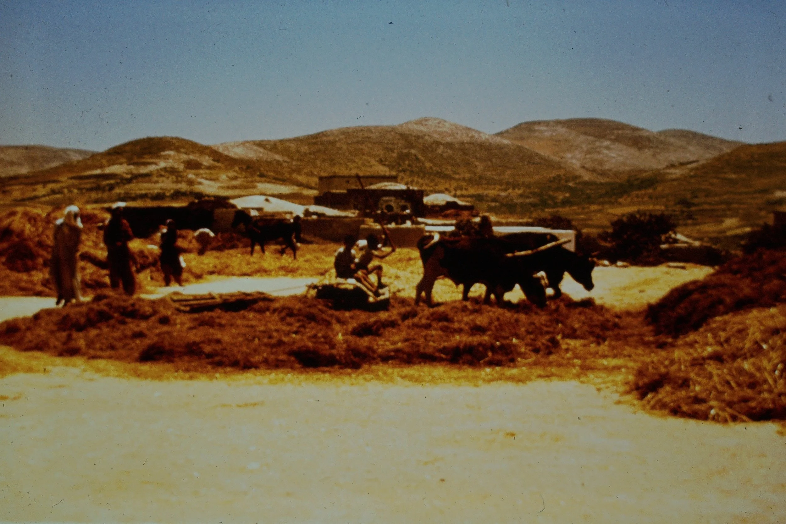 Samaria -- threshing floor near forum