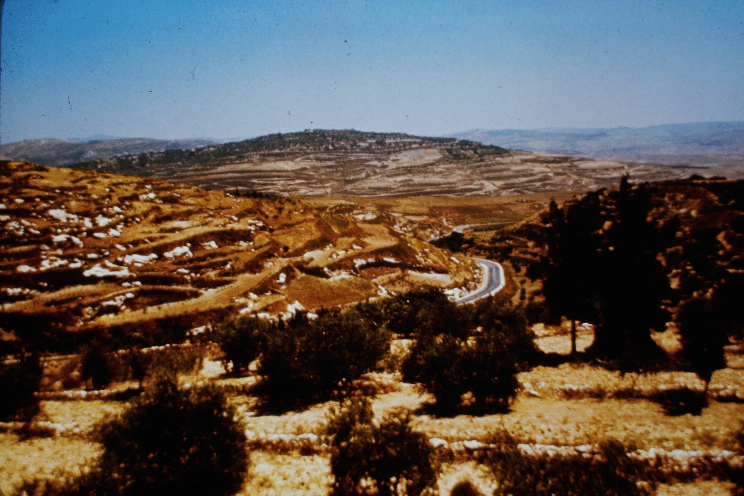 Samaria (Sebasten), looking North