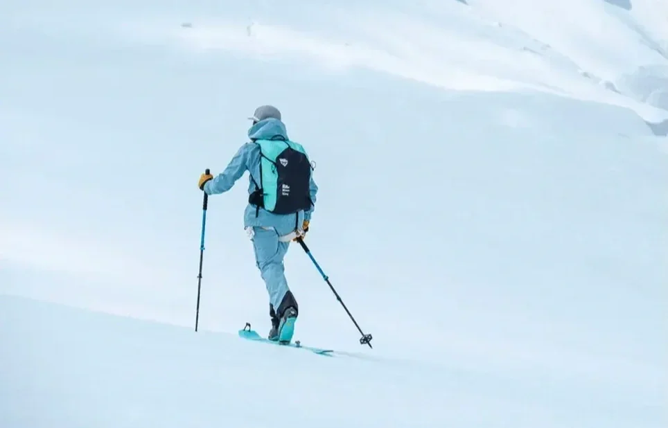 Black Crows | Dorsa freebird | 2024 | product