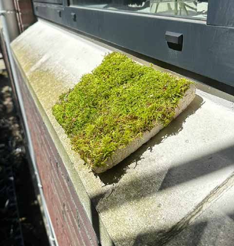 Unexpected Material Engagements &Project 1