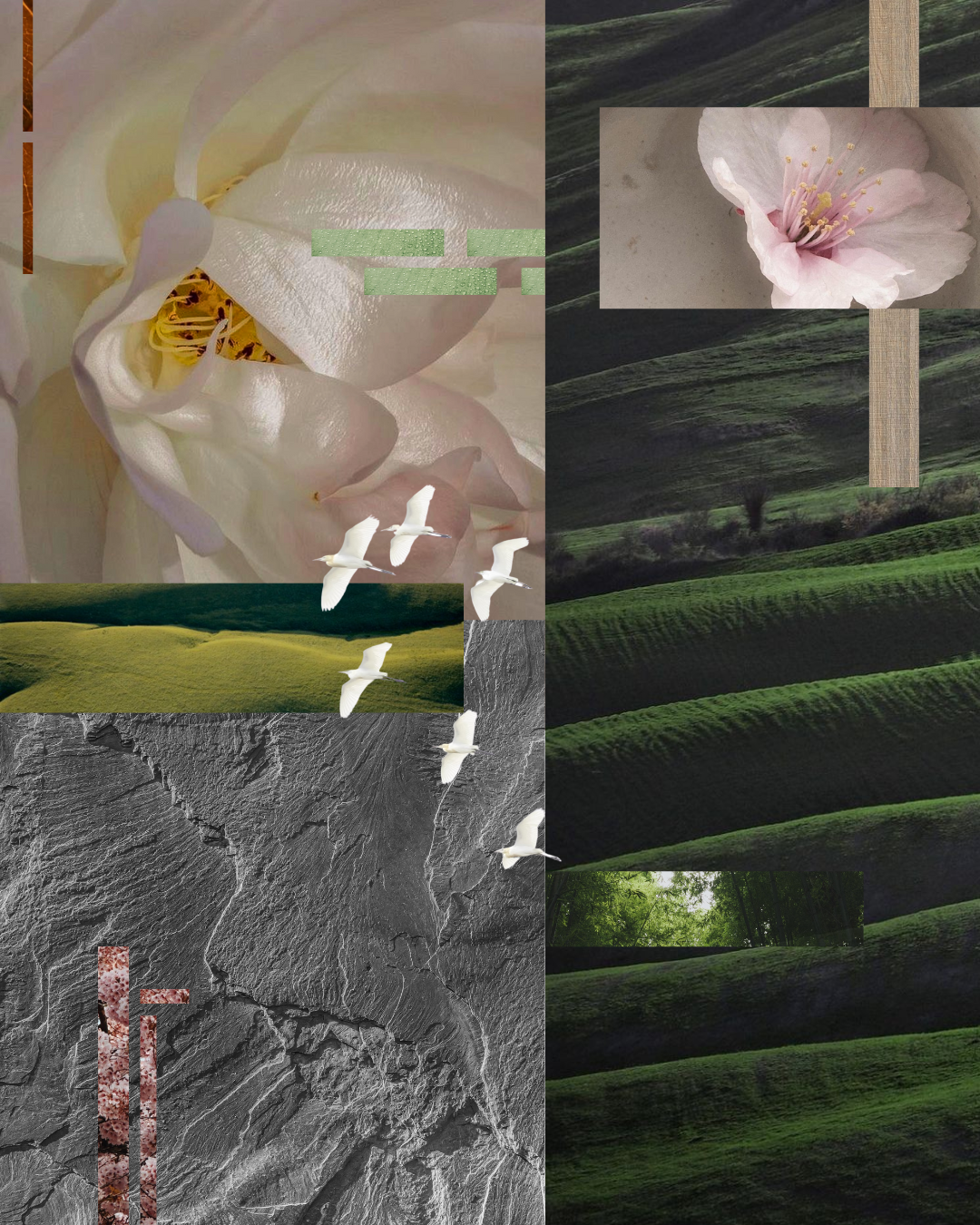 The essence of spring: A fresh and vibrant moodboard