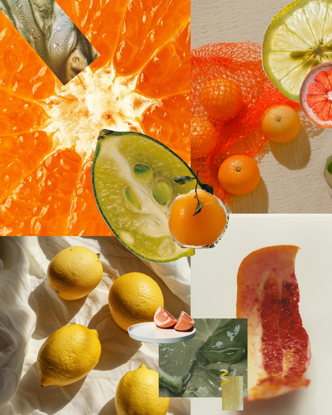 Images were pulled from pinterest to create the collage