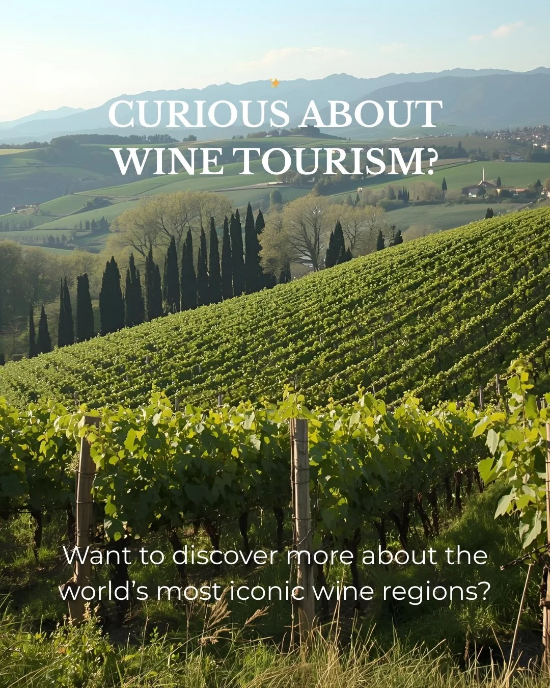 Rioja has something for everyone&hellip; 🍇✨🍇

🏩 From intimate luxury boutique B&amp;Bs to over-the-top hotels within award-winning wineries, this region is a playground for every type of traveller. 
🏰 Indulge in Michelin-starred dining, discover 