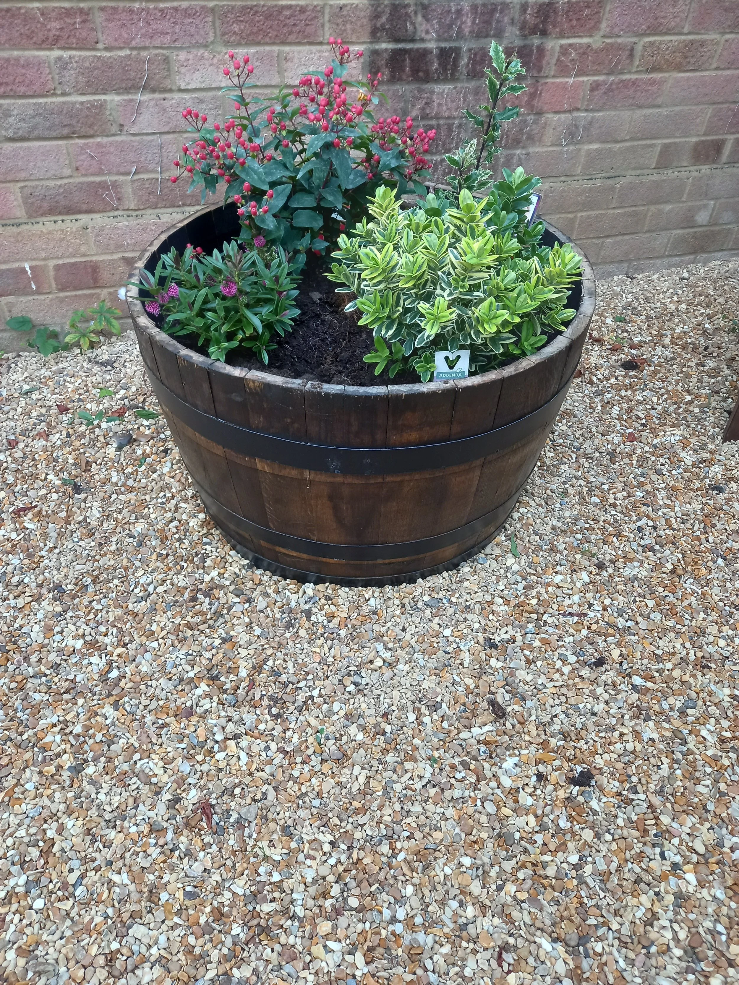 Half Barrel Planters