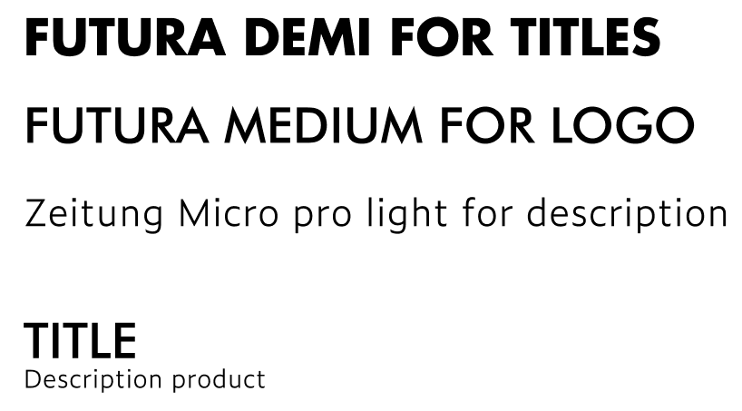 Un exemple de mise en page avec plusieurs styles de texte, y compris un titre principal, un sous-titre, une description et un titre de section, dans différentes tailles et poids de police.