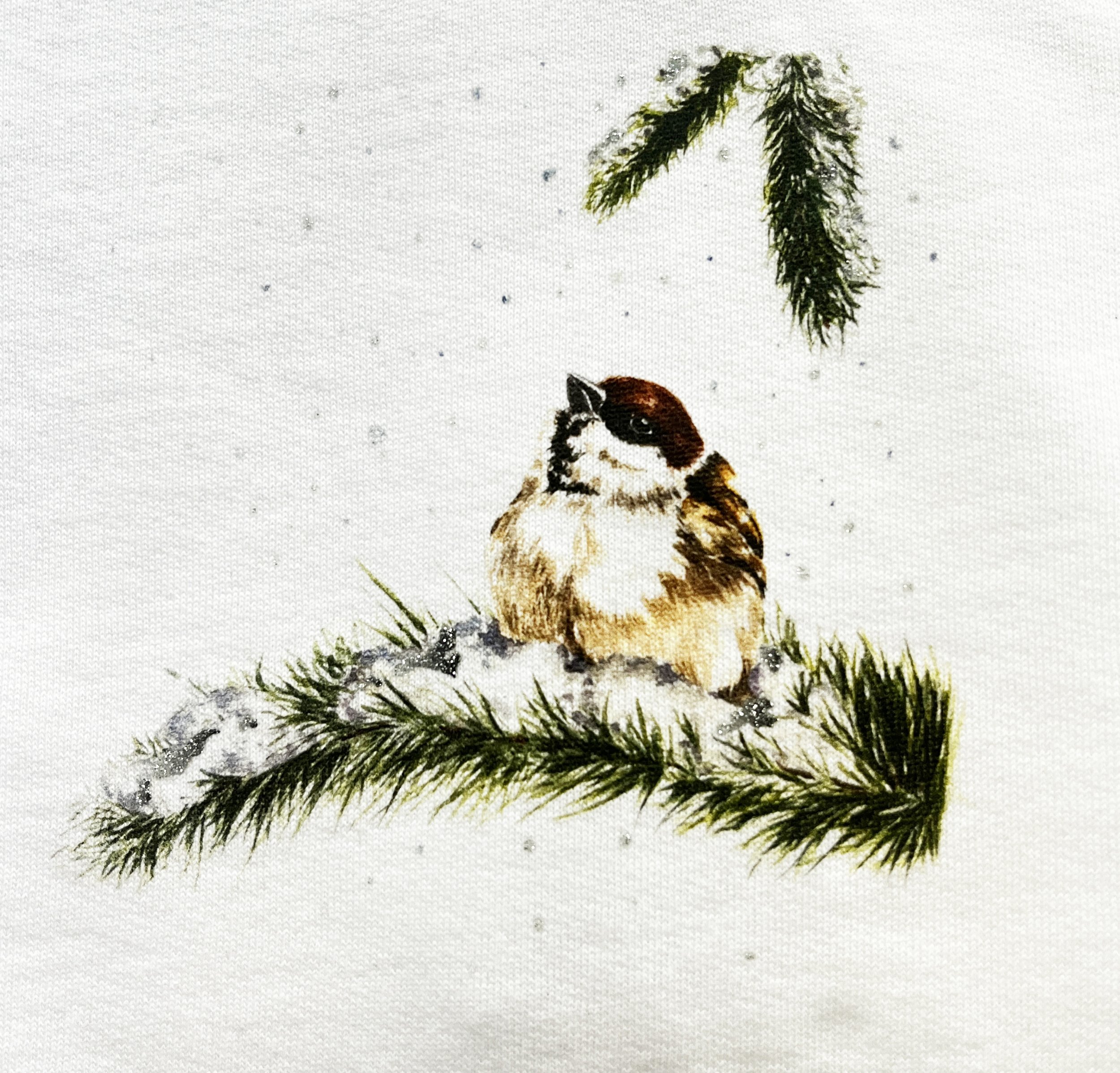 Un poussin posé sur la neige sous un branche de sapin.