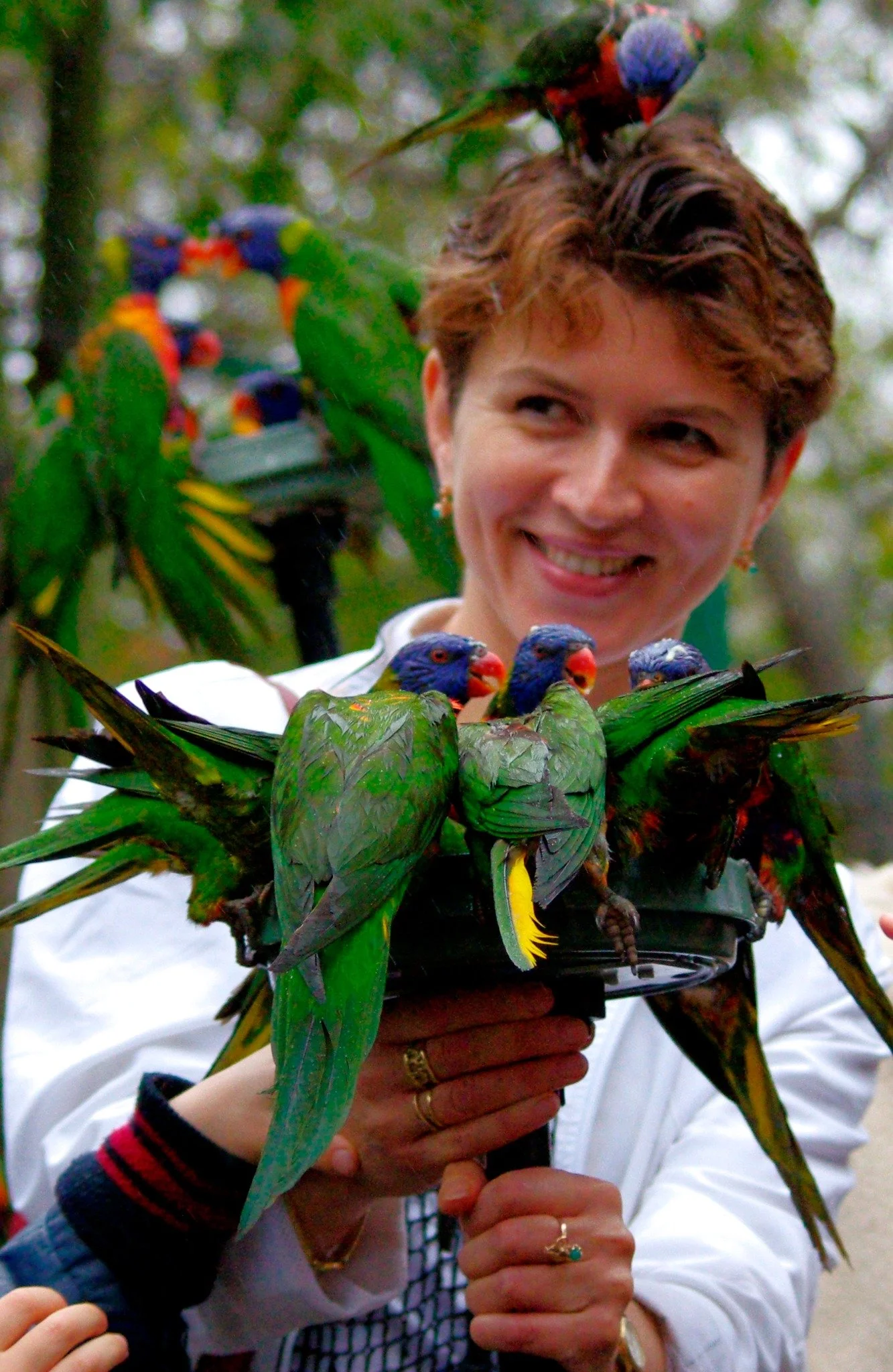 A woman holding a bunch of colorful parrots on her shoulders and arms, outdoors with blurred greenery in the background.