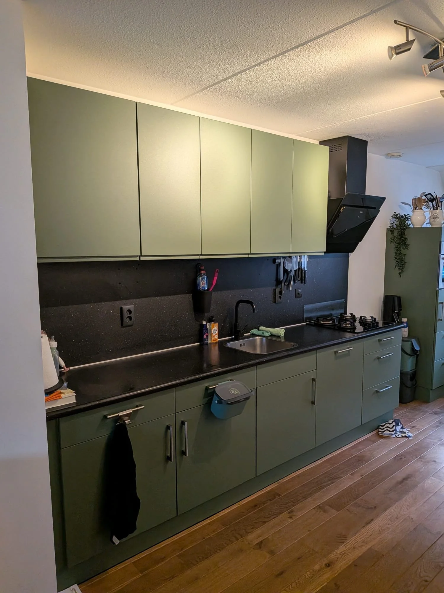 Moderne keuken met groene kastdeuren, een zwart werkblad, een goesublad en een gasfornuis. Er hangen keukengerei aan de muur en er is een afzuigkap. Op de vloer ligt houten vloer en er zijn diverse keukenspullen en planten te zien.