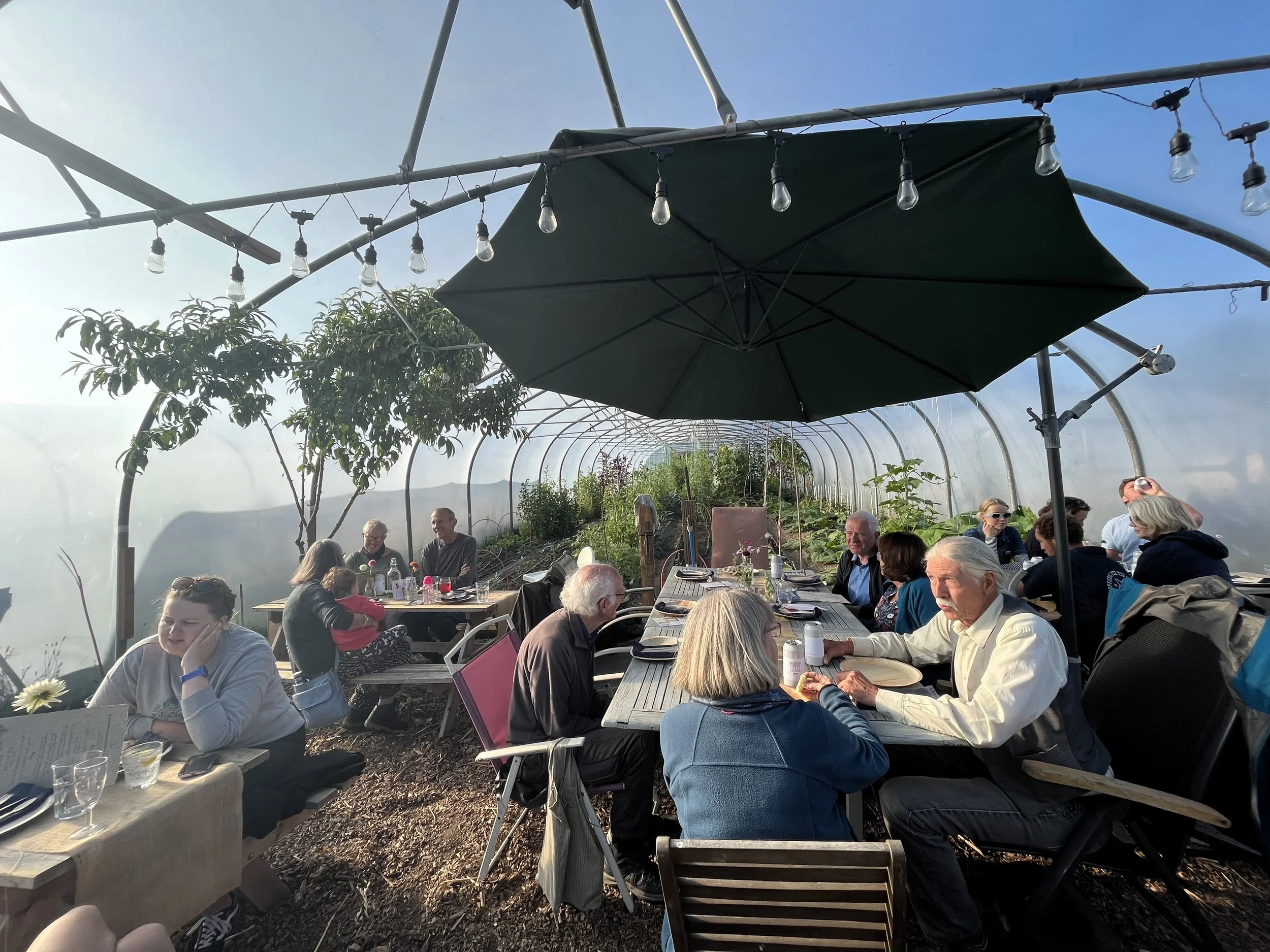 A group of people sitting around a long table under an outdoor canopy with string lights, enjoying a meal together in a greenhouse or garden setting.