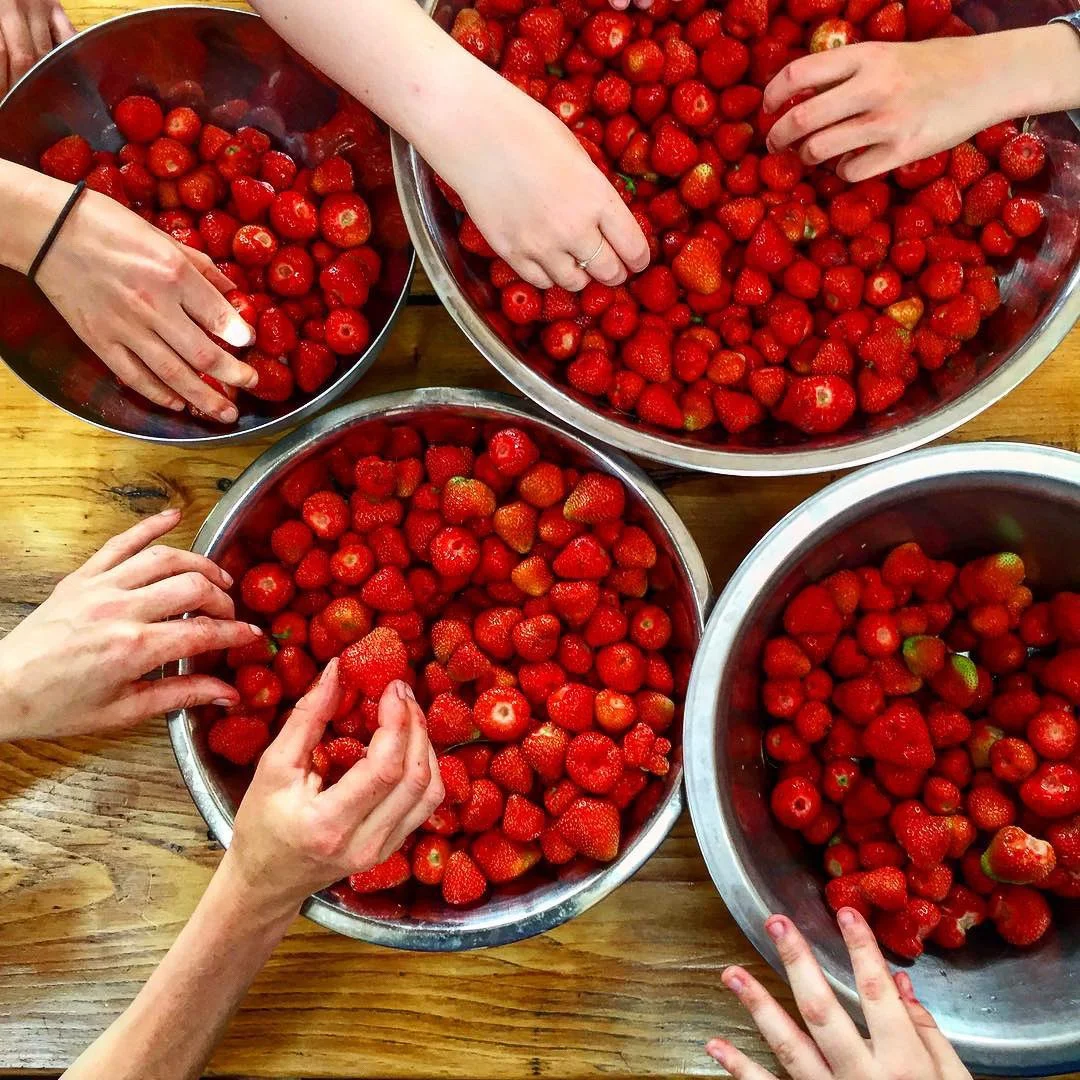 Multiple metal bowls filled with fresh strawberries on a wooden table, with several hands picking strawberries.